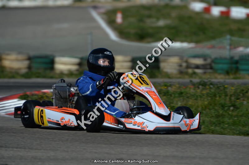 DSC_7805.jpg