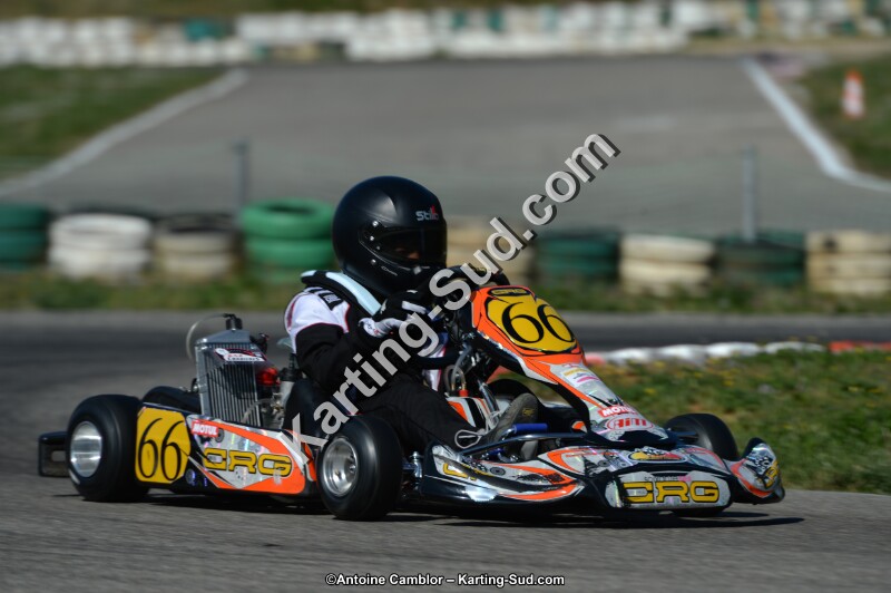 DSC_7806.jpg