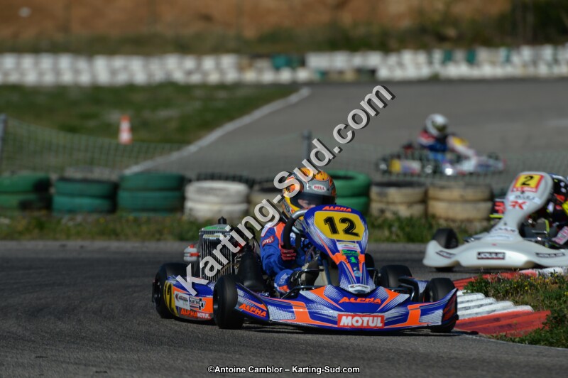 DSC_7811.jpg