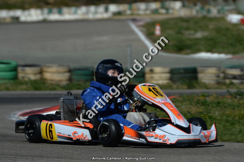 DSC_7834.jpg