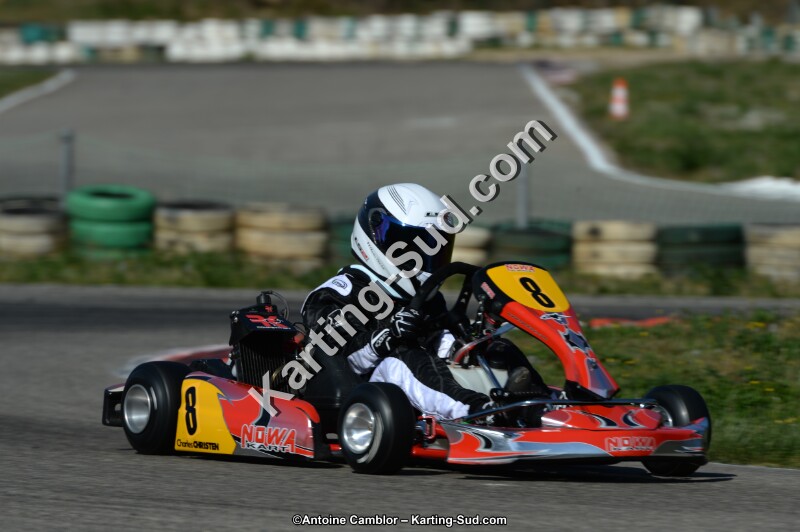DSC_7850.jpg
