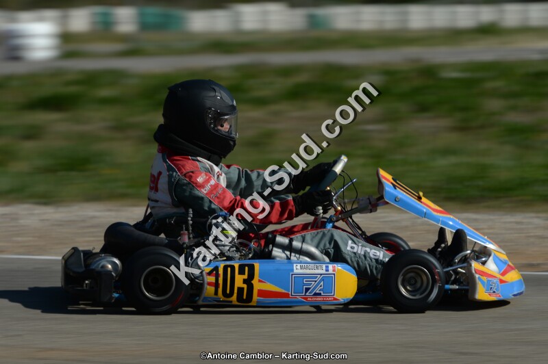DSC_7883.jpg