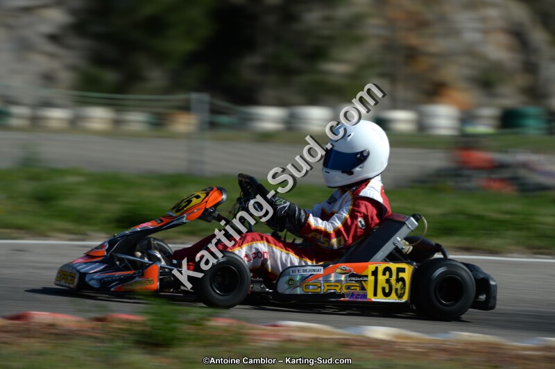 DSC_7911.jpg
