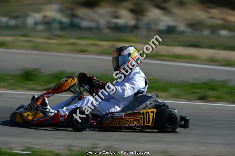DSC_7913.jpg