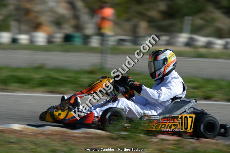 DSC_7914.jpg