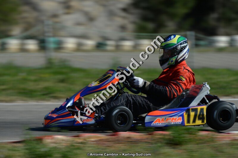 DSC_7916.jpg