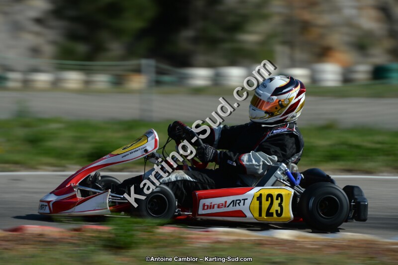 DSC_7917.jpg