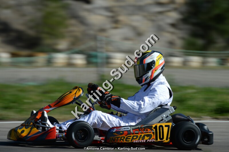 DSC_7923.jpg