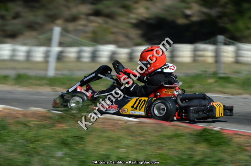 DSC_7932.jpg