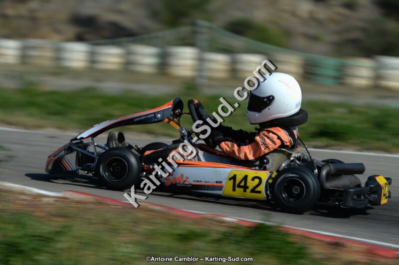 DSC_7937.jpg