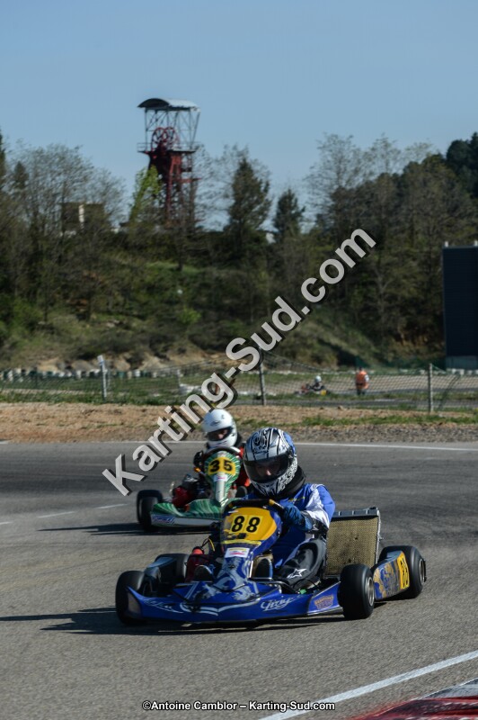 DSC_7986.jpg