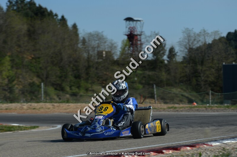 DSC_8010.jpg