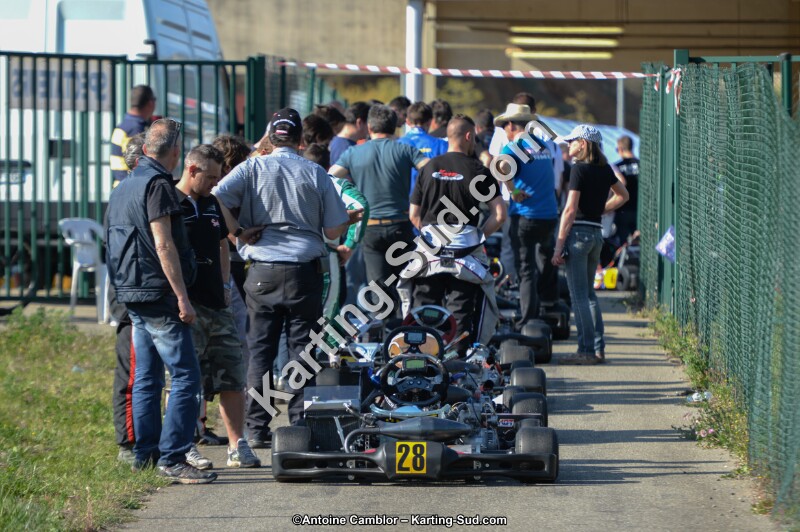 DSC_8050.jpg