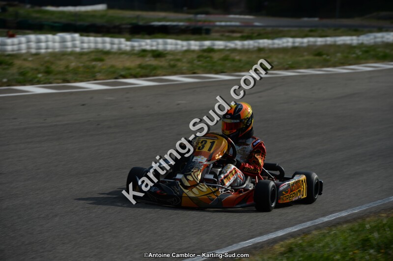 DSC_8061.jpg