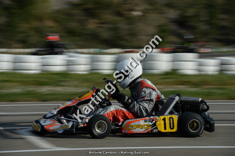 DSC_8119.jpg