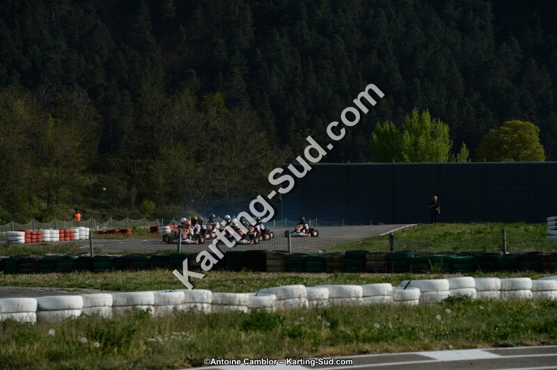 DSC_8125.jpg