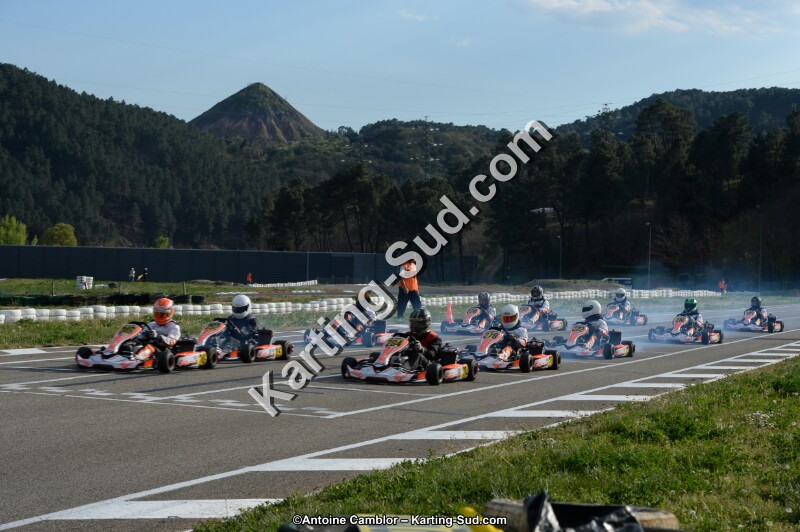 DSC_8133.jpg