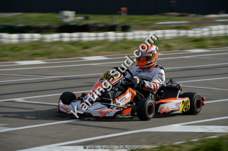 DSC_8146.jpg