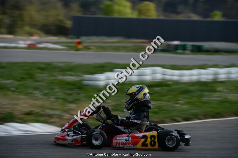 DSC_8223.jpg