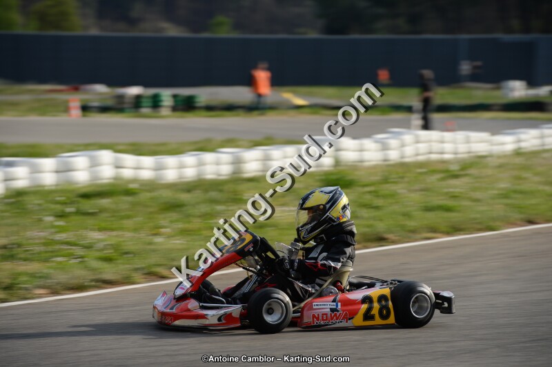 DSC_8231.jpg