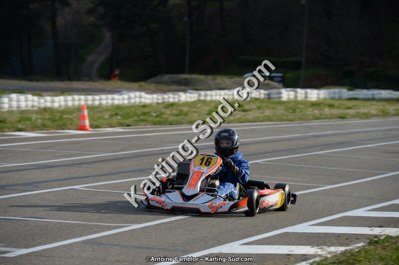 DSC_8256.jpg