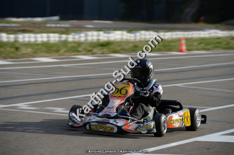 DSC_8257.jpg