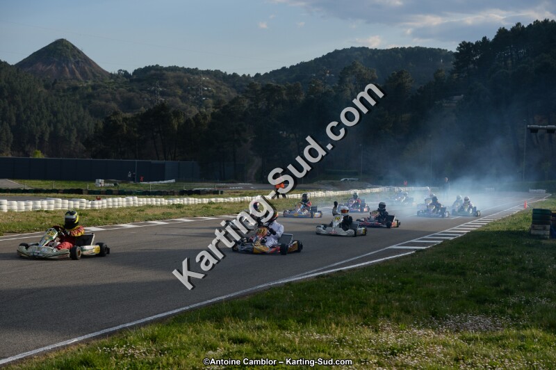 DSC_8291.jpg