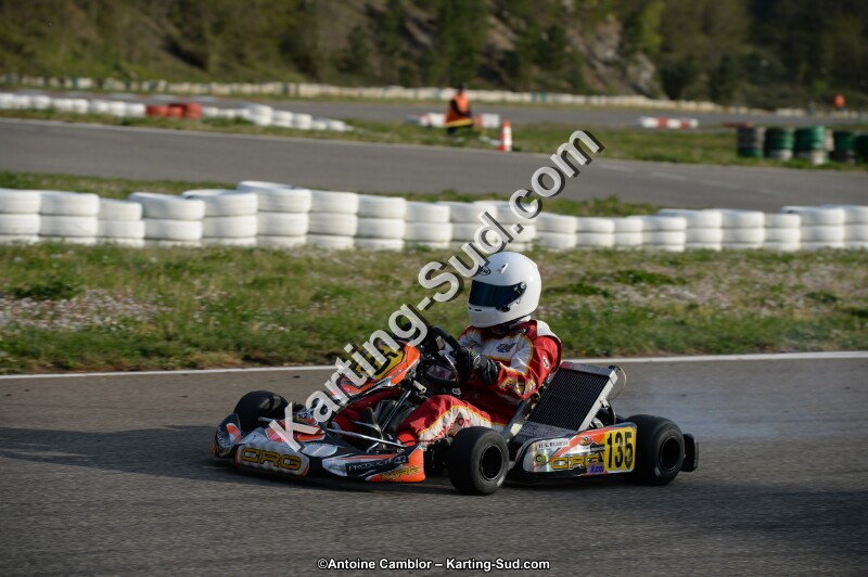 DSC_8295.jpg