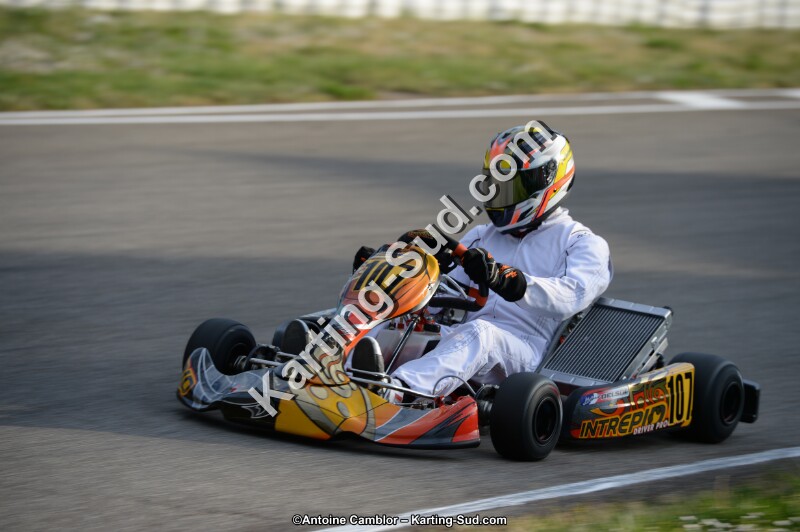DSC_8328.jpg