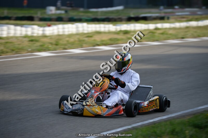 DSC_8332.jpg