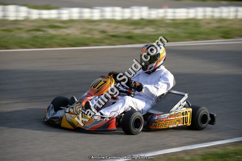DSC_8348.jpg