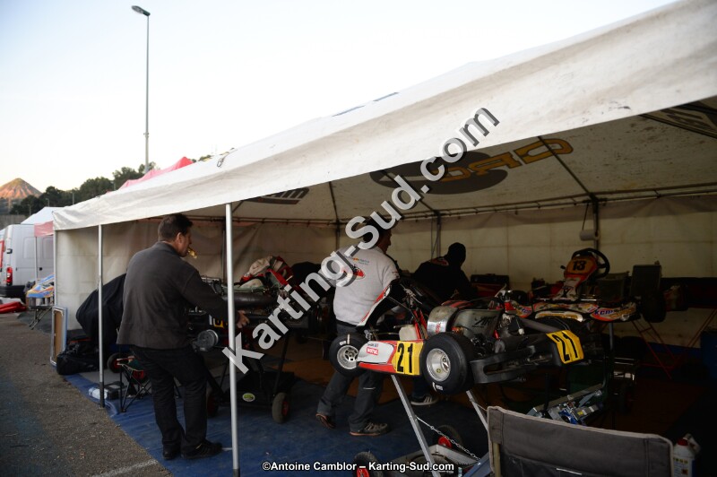 DSC_8379.jpg