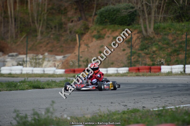 DSC_8484.jpg