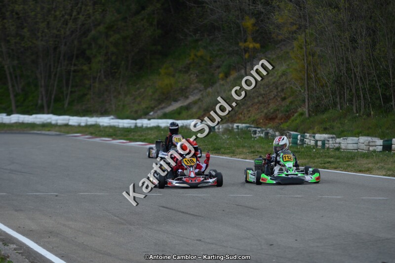 DSC_8523.jpg