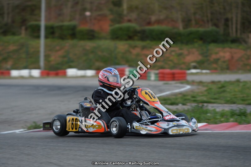 DSC_8538.jpg