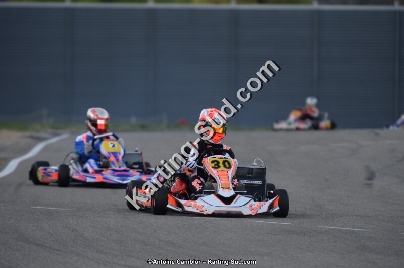 DSC_8546.jpg