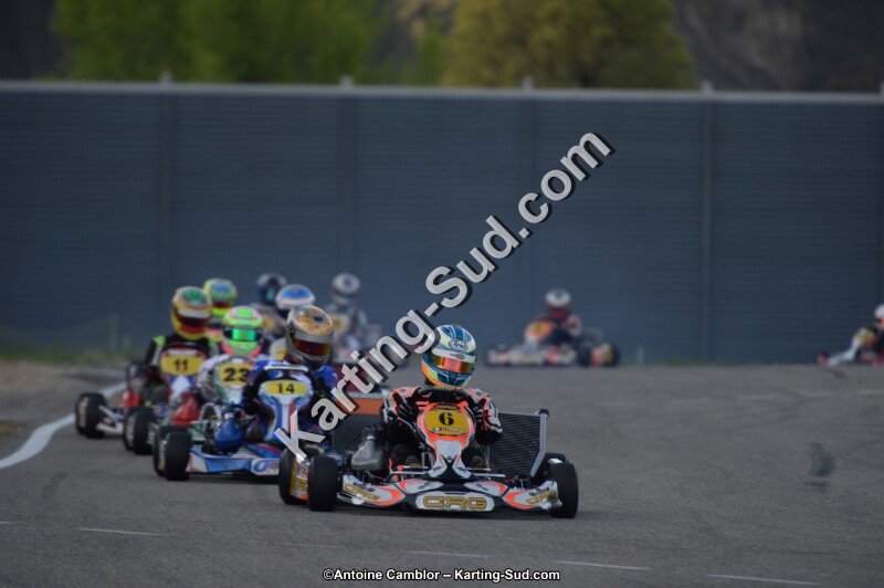 DSC_8547.jpg