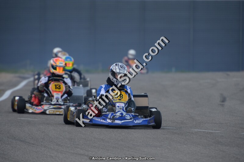 DSC_8556.jpg