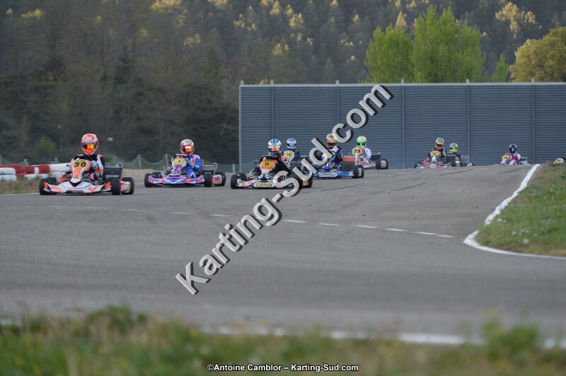 DSC_8564.jpg