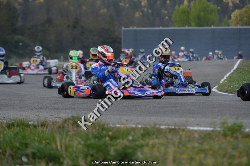 DSC_8566.jpg