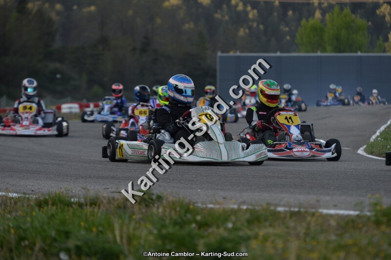 DSC_8567.jpg