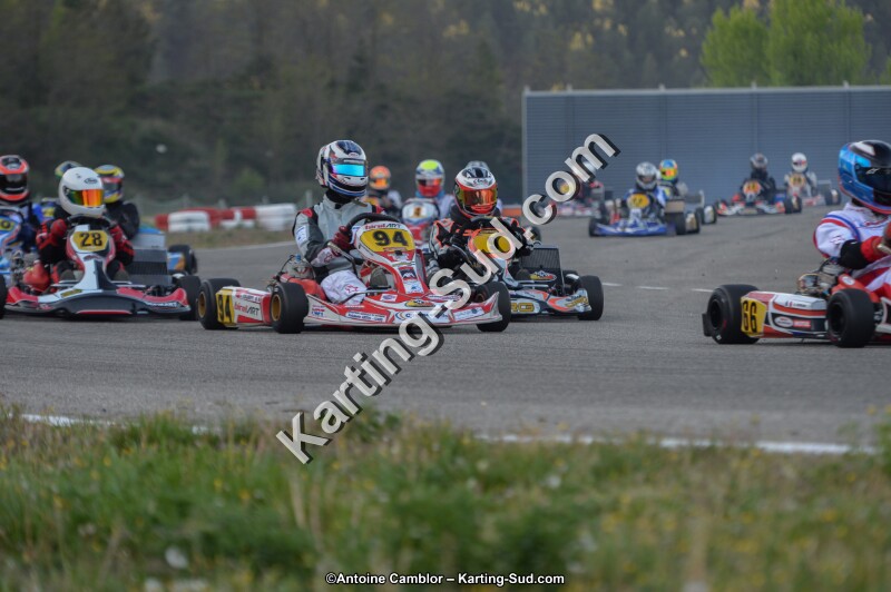 DSC_8568.jpg