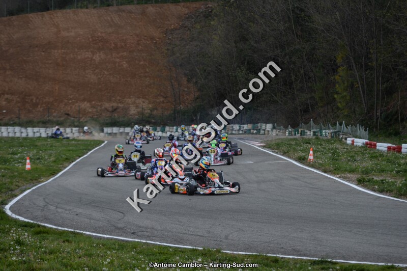 DSC_8582.jpg