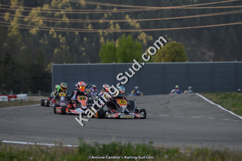 DSC_8588.jpg