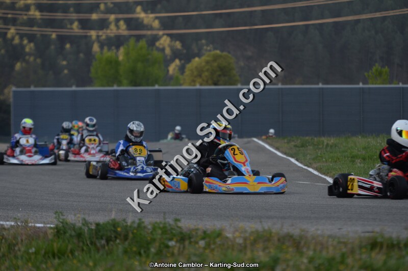 DSC_8591.jpg