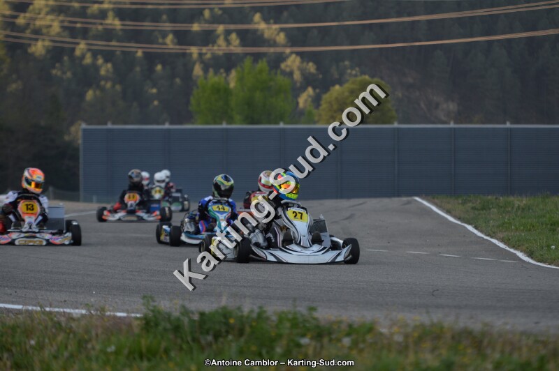 DSC_8593.jpg
