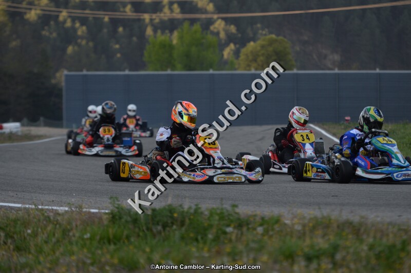 DSC_8594.jpg