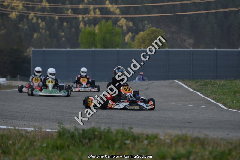 DSC_8595.jpg