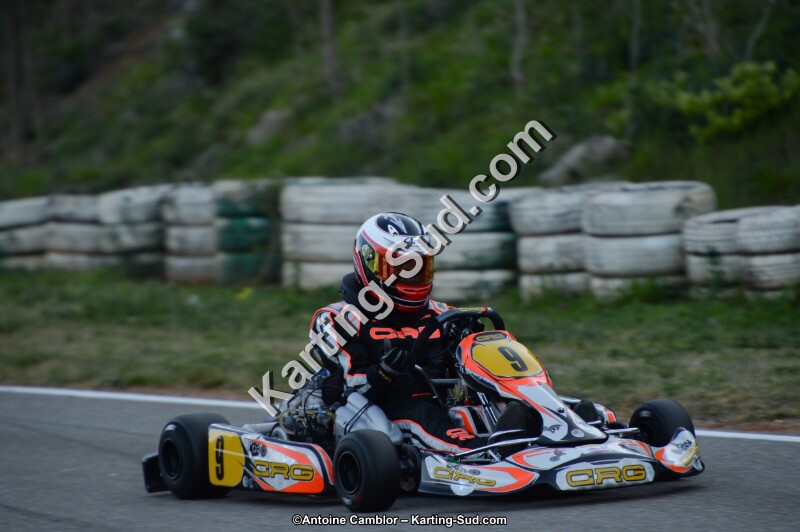 DSC_8631.jpg