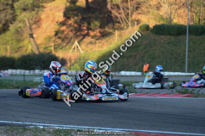 DSC_8638.jpg